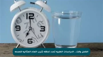 أفضل وقت.. الدراسات الطبية تحدد لحظة شرب الماء المثالية للصحة